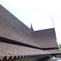 Tấm Tôn Sinh Thái