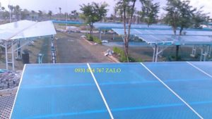 ton sáng xanh bo nhiu 1m vuong